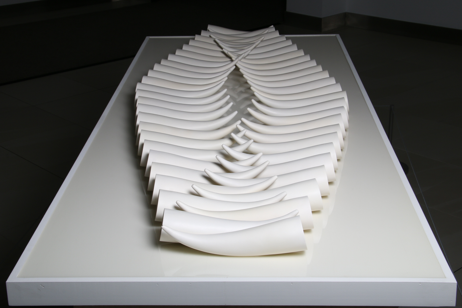 Who is Speaking? Who is Listening? | 2019 | 96 x 38 x 5" | porcelain, resin, wood